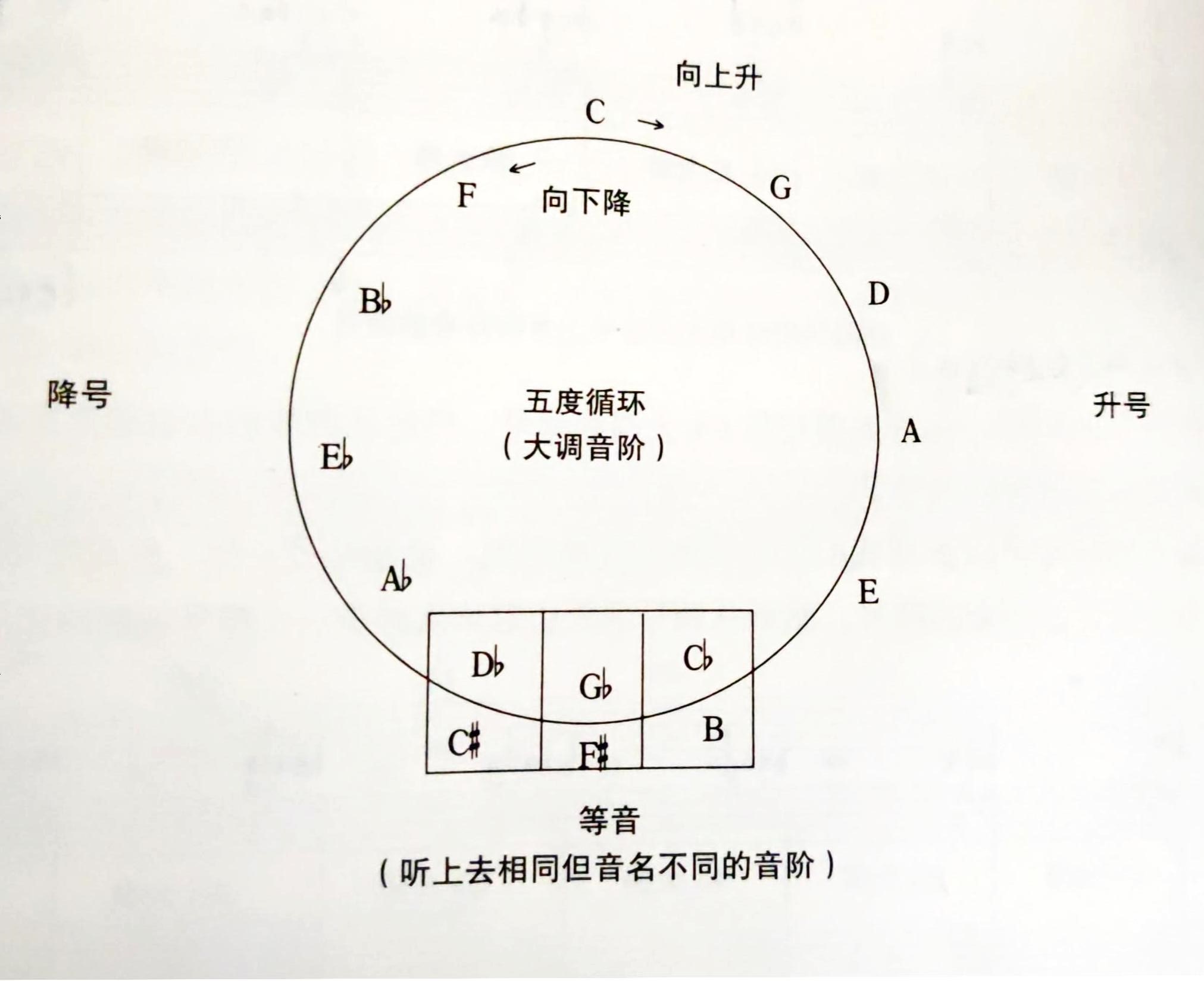 五度循环大调